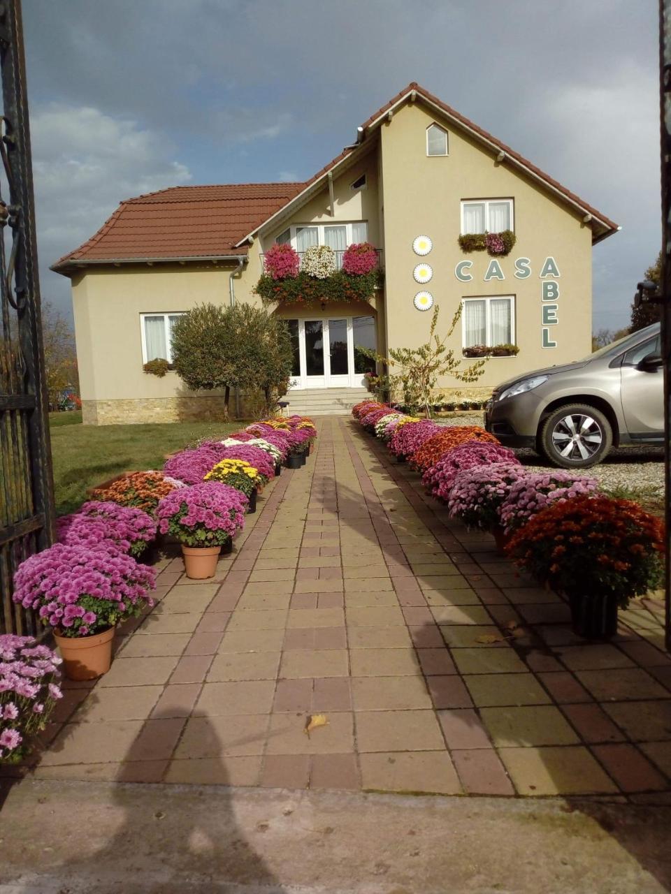 Pensiunea Abel Hotel Mihai Viteazu  Ngoại thất bức ảnh