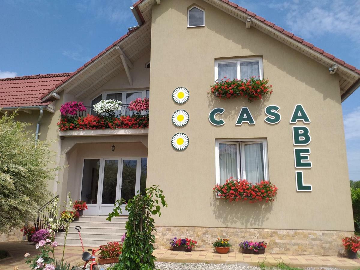 Pensiunea Abel Hotel Mihai Viteazu  Ngoại thất bức ảnh