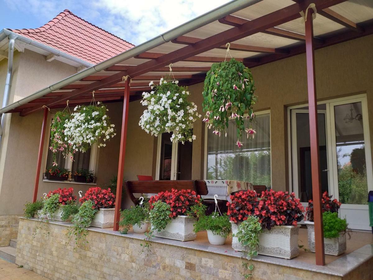 Pensiunea Abel Hotel Mihai Viteazu  Ngoại thất bức ảnh